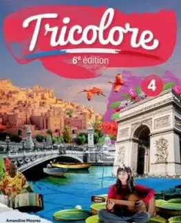 Tricolore 6e edition: 14-16: Student Book 4 - Amandine Moores, Sylvia Honnor, Michael Spencer, Heather Mascie-Taylor