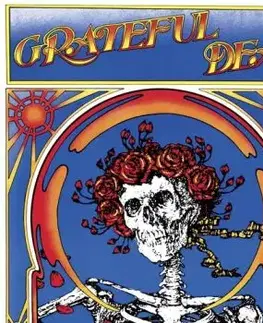 Grateful Dead - Grateful Dead (Skull & Roses): Live (2021 Expanded Remaster) 2LP - Grateful Dead