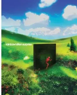 Rainbow Kitten Surprise - Bones CD - Rainbow Kitten Surprise