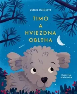 Timo a hviezdna obloha - Zuzana Dušičková