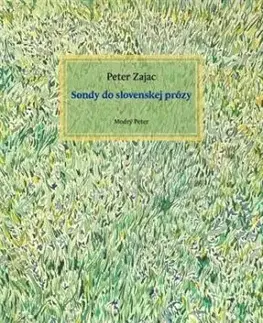 Sondy do slovenskej prózy - Peter Zajac