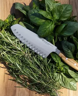 WÜSTHOF Nôž santoku Wüsthof Amici 17 cm