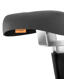 inSPORTline e-Velocer UB