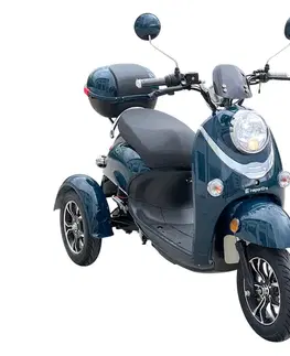 inSPORTline Tarra Gray Blue