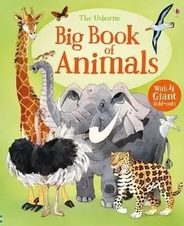 Big Book Of Big Animals - Hazel Maskell