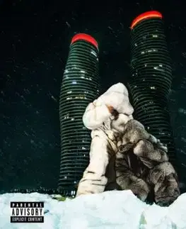 PartyNextDoor & Drake - $ome $exy $ongs 4 U 2LP - Drake, PartyNextDoor