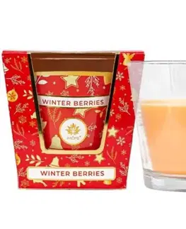 Kinekus Sviečka vonná WINTER BERRIES 120g v skle