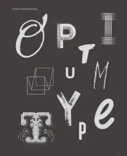 Optimum Type: Custom Typography Design and Application - Wang Shaoqiang