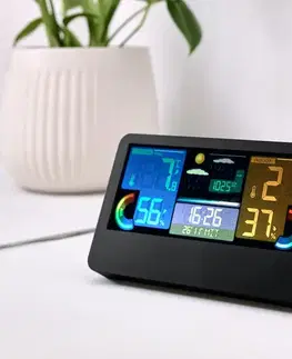 Profesionálna meteorologická stanica