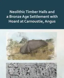Neolithic Timber Halls and a Bronze Age Settlement with Hoard at Carnoustie, Angus - Alan Hunter Blair, Warren Bailie, Beverley Ballin Smith