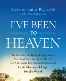 I've Been to Heaven - Kathy Boyls, Troy Anderson, Steve Boyls