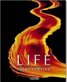 LIFE - A Journey Through Time