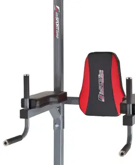 inSPORTline Power Tower PT300