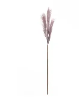 Dekoria Pampová tráva 100cm light violet, 2 x 2 x 100 cm