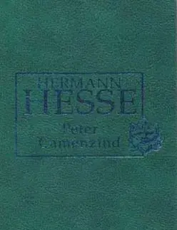 Peter Camenzind - Hermann Hesse