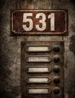 531 - Honza Vojtíšek