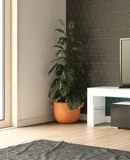 MONTE televízny stolík, biely lesk / čierny lesk