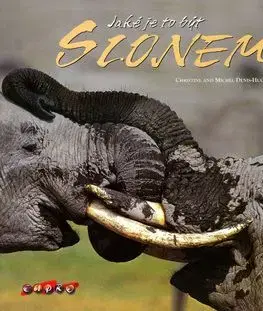 Jaké je to být slonem - Michel Denis-Huot, Christine Hout