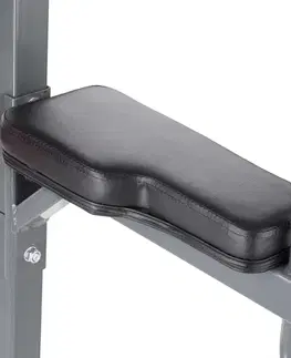 inSPORTline Power Tower PT300