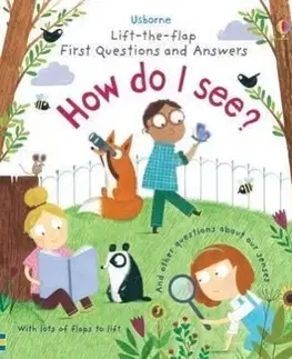 Lift-the-Flap First Questions & Answers How Do I See? - Katie Daynes