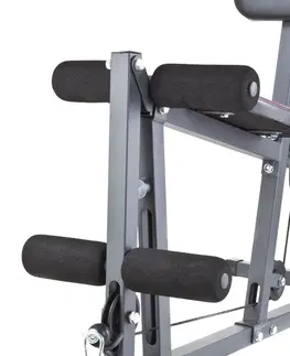 inSPORTline Profigym N10