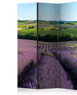 Paraván Lavender fields Dekorhome