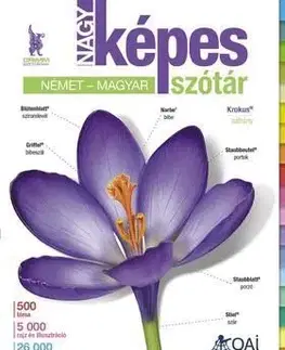 Nagy képes szótár német-magyar