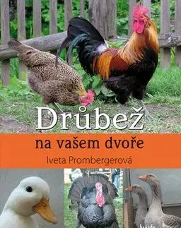 Drůbež na vašem dvoře - Iveta Prombergerová