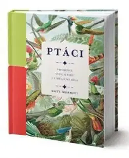 Ptáci - Matt Merritt