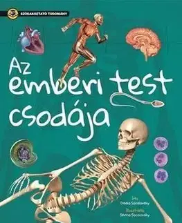Szórakoztató tudomány - Az emberi test csodája