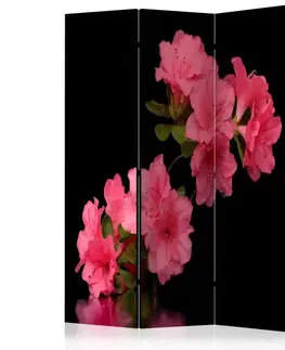 Paraván Azalea in Black Dekorhome