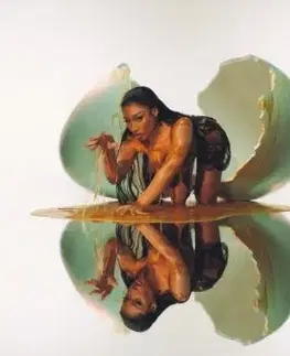 Megan Thee Stallion - Megan (Silver) 2LP - Megan Thee Stallion