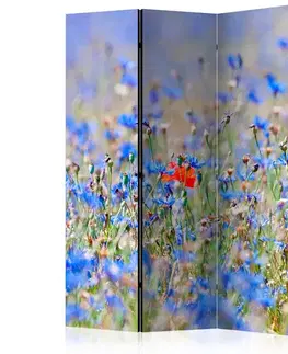 Paraván A sky-colored meadow - cornflowers Dekorhome