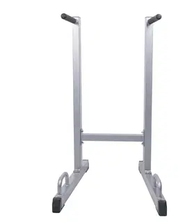 inSPORTline Power Tower PT050