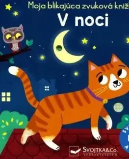 V noci - Moja blikajúca zvuková knižka