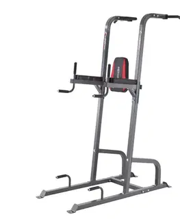 inSPORTline Power Tower PT300