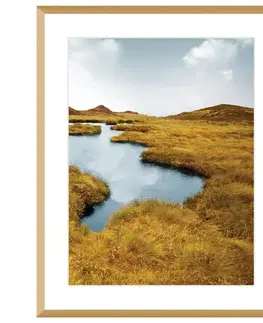 Dekoria Obraz Grassy Field II 40x50cm, 40x50cm