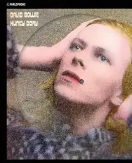 Bowie David - Hunky Dory (Picture) LP - David Bowie