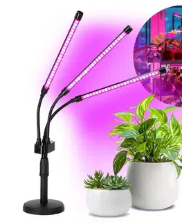  LED Stmievateľná stolná lampa na pestovanie rastlín VITARO 3xLED/10W/230V čierna KDSN00000084