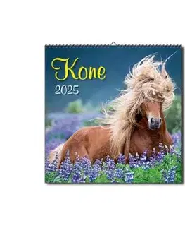 Nástenný kalendár Kone 2025