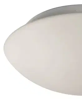 Stropná lampa do kúpeľne s bielym sklom E27 60W 17,5 cm Nina