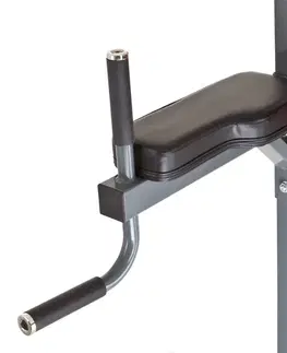 inSPORTline Power Tower PT300