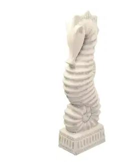 Dekoria Dekorácia Seahorse 50cm, 16 x 10 x 50 cm