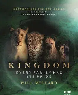 Kingdom - Will Millard