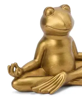 Šťastná žaba