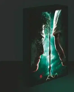 Svietiaci obraz 30x40 Harry Potter - Harry vs. Voldemort