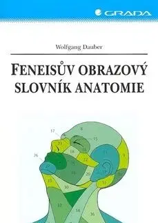 Feneisův obrazový slovník anatomie - Wolfgang Dauber, Radomír Čihák