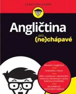Angličtina pro nechápavé - Gail Brenner