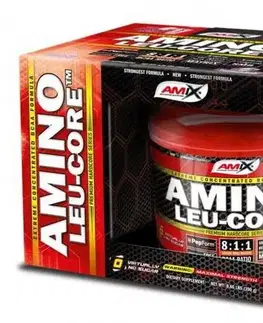 Amino LEU-CORE 8:1:1 - Amix 390 g Fruit Punch