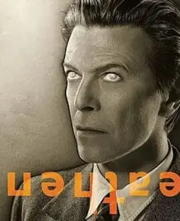 Bowie David - Heathen (2026 Reissue) LP - David Bowie